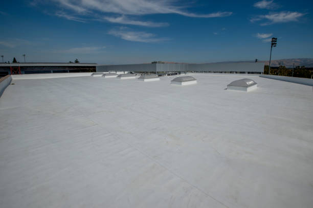 Best Steel Roofing  in Canonsburg, PA